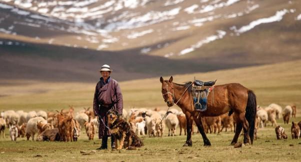 Carbon Credits 101, Episode 2: Mongolia’s Power of the Wind