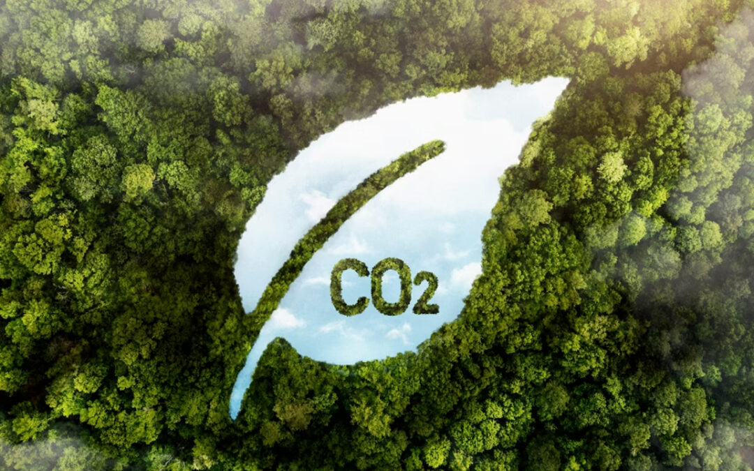 Carbon Credits 101, Episode 10:  Asia’s role in the carbon markets